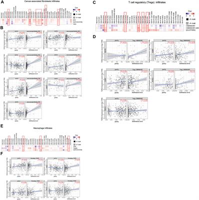 Oncogenetic Function and Prognostic Value of DNA Topoisomerase II Alpha in Human Malignances: A Pan-Cancer Analysis